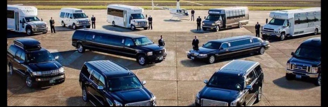 Royal Limos Co Cover Image