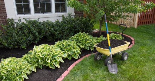 Trusted Garden Maintenance Services in Abu Dhabi & Dubai