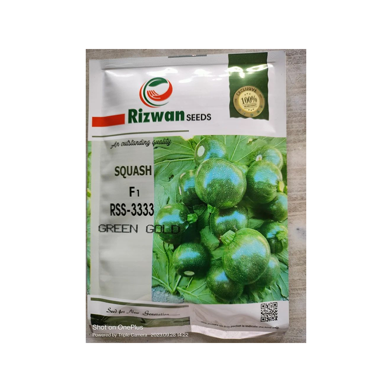 Rizwan Green Gold Squash | A Grade Kaddu Pan India Supply