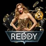 Reddy Book Profile Picture