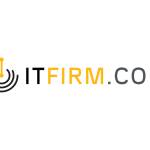 IT Firm profile picture