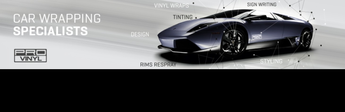 PRO vinyl Cover Image