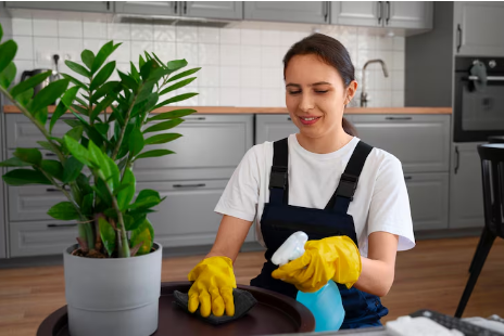 Eco-Friendly Cleaning Service | Green Home & Office Cleaning