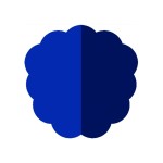 NEWSDATA io Profile Picture