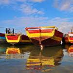 house boats profile picture