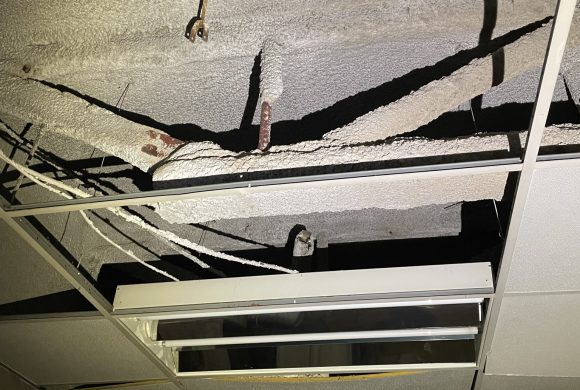 Asbestos Removal: MSN Environmental in Kitchener (2025)