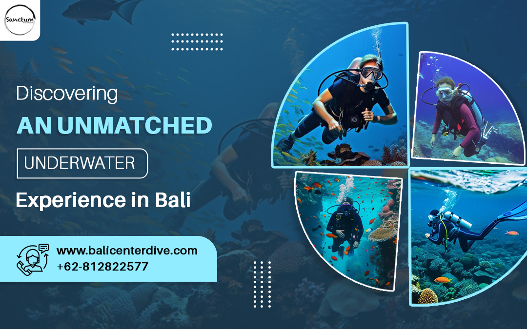 Discovering an Unmatched Underwater Experience in Bali – Site Title