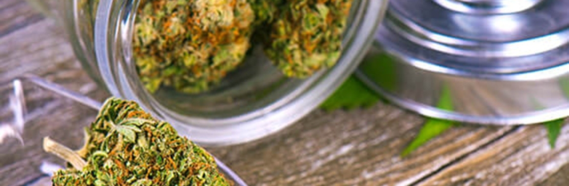 Green Therapy Cover Image