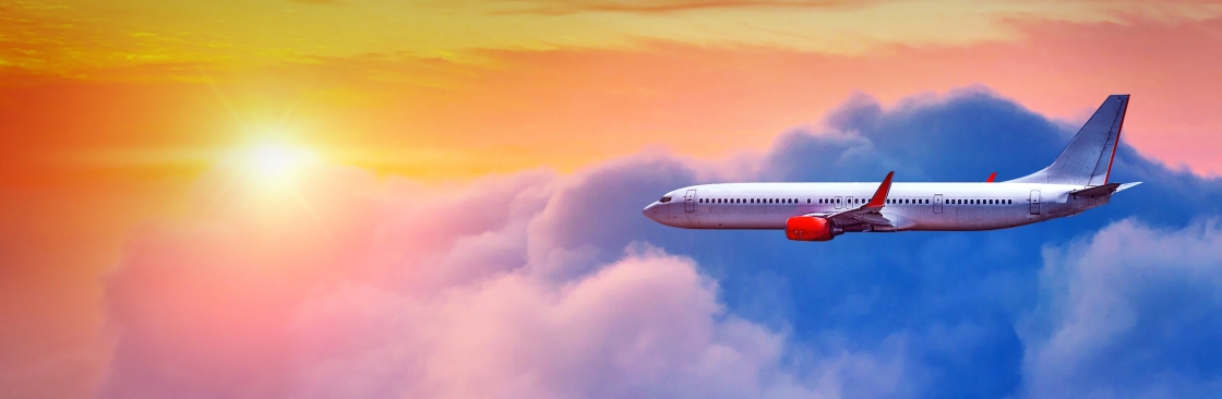 The Jersey Flights Cover Image