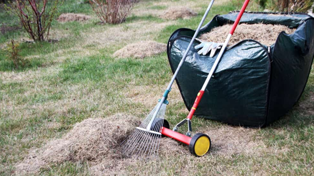 Lawn dethatching service Tarneit, VIC
