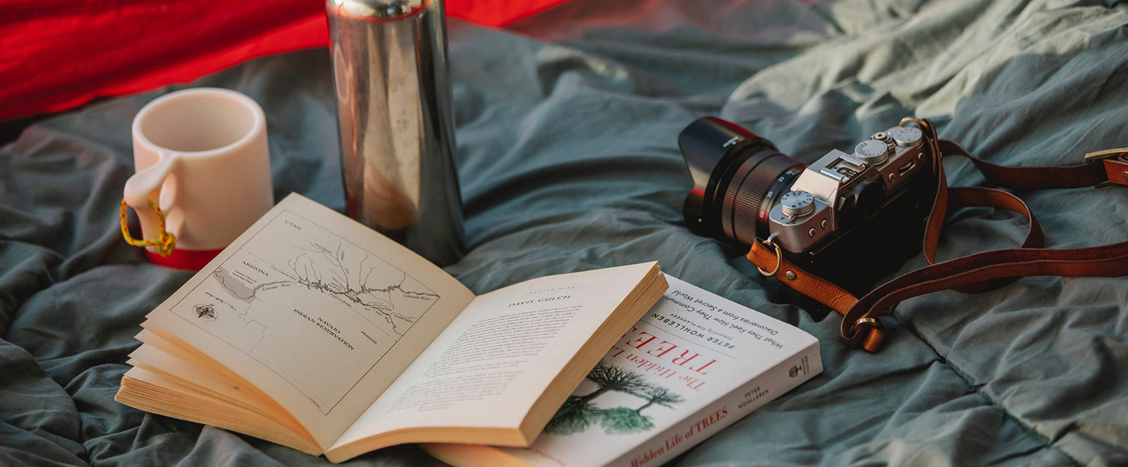 Discover Tramadol Comfort: A Gentle Guide + How to Shop Online the Right Way