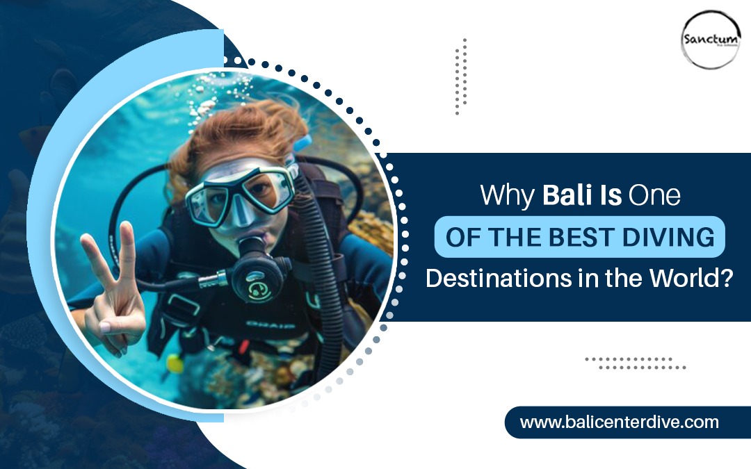 Why Bali Is One of the Best Diving Destinations in the World? – Site Title