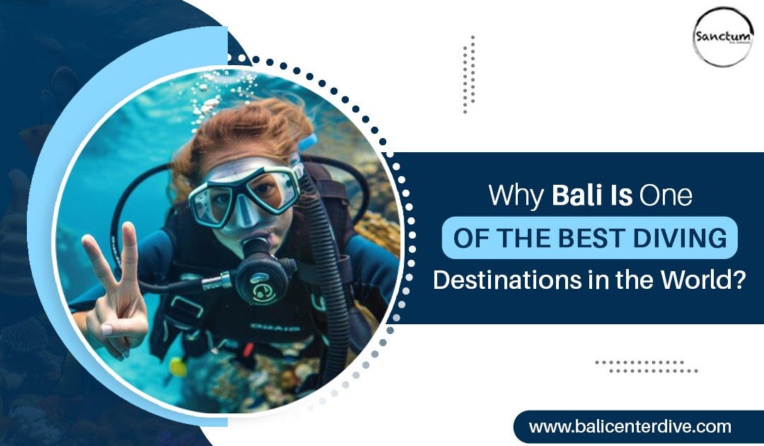 Why Bali Is One of the Best Diving Destinations in the World?