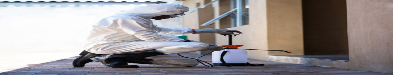 Pest Control Dubai | Pest Control Services Near Me