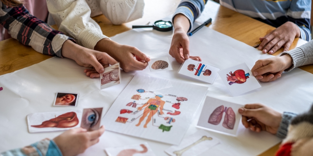 Best Study Resources for AP Biology Classes in 2026 – Smart Math tutoring