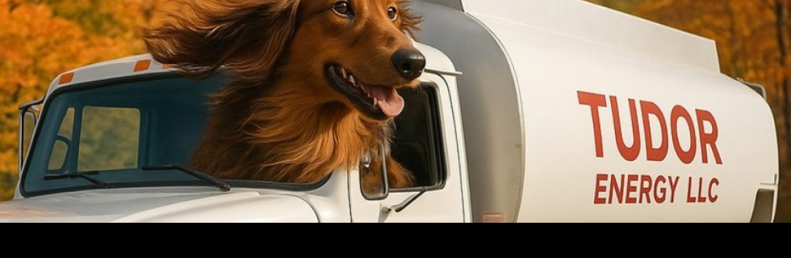 Tudor Energy LLC Cover Image