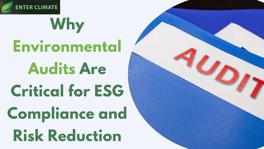 Why Environmental Audits Are Critical for ESG Compliance and Risk Reduction - JustPaste.it