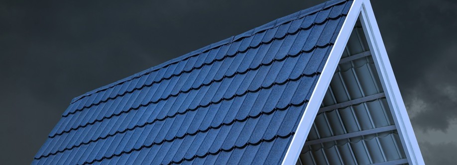 Roofi India Cover Image