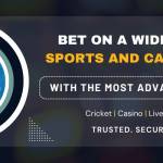 allpannlexch89 Profile Picture