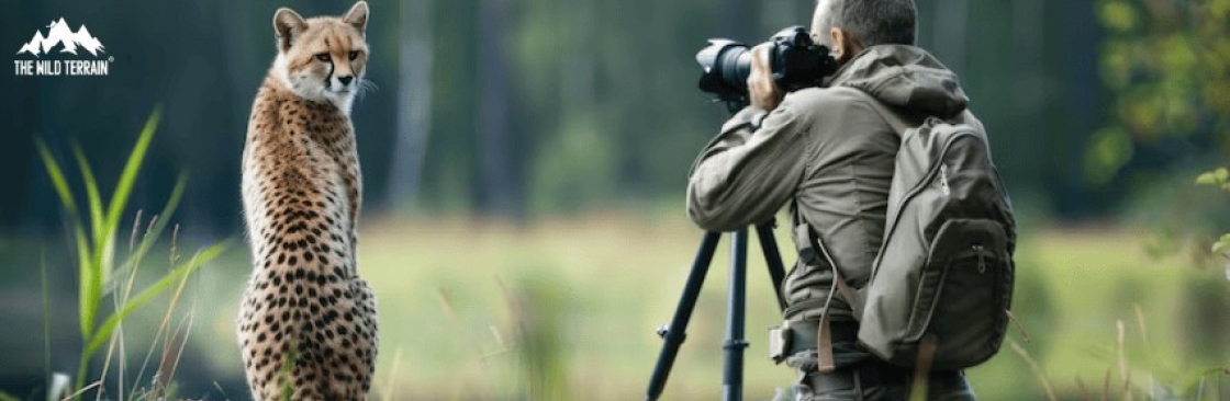 The Wild Terrain Cover Image