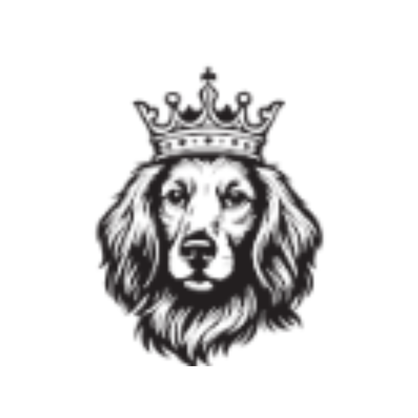 About Tudor Energy LLC