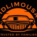 hdlimo Profile Picture