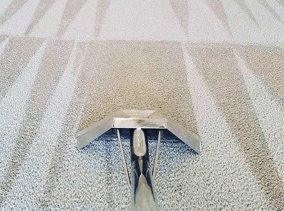 Carpet Cleaning Hornchurch | 22 000+ Positive Reviews