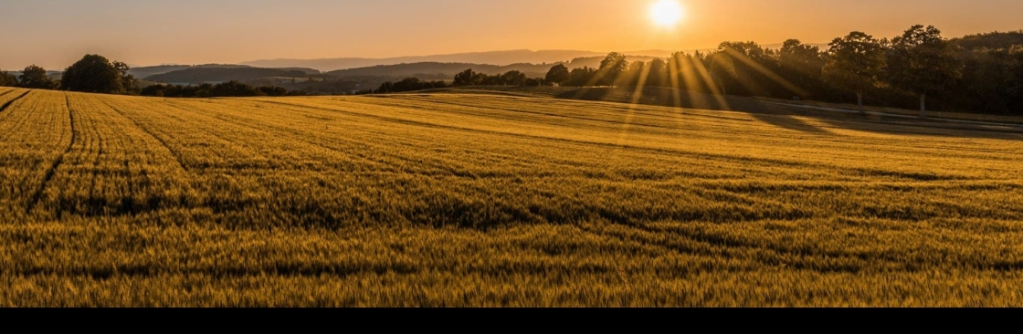 The Club Farm Cover Image