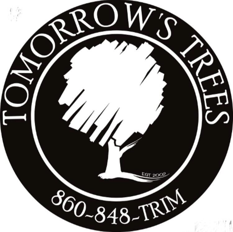 Tomorrow’s Trees | Expert Tree Services Southeastern CT