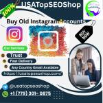 Buy Best Bulk Instagram Accounts Marketplace Profile Picture