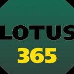 Lotus365 Login Profile Picture