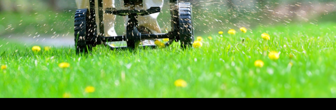 RP Landscape Cover Image