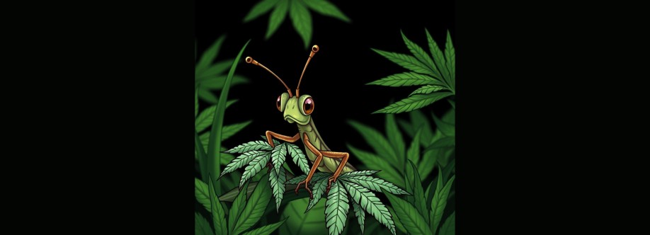 Grasshopper Canna Cover Image