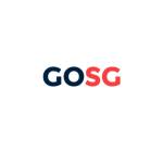 GO SG CONSULTING Profile Picture