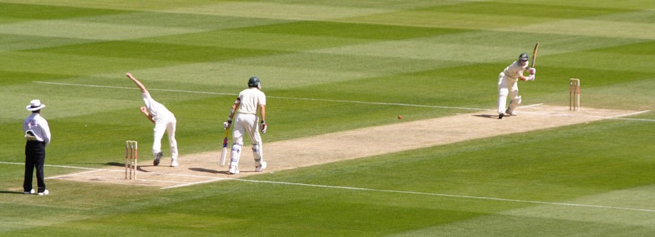 Champions 11 Cricket League Cover Image