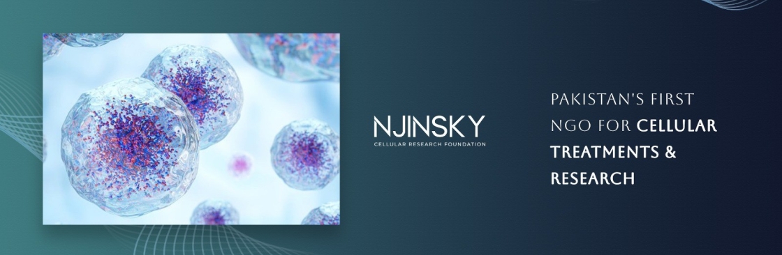 Njinsky Foundation Cover Image