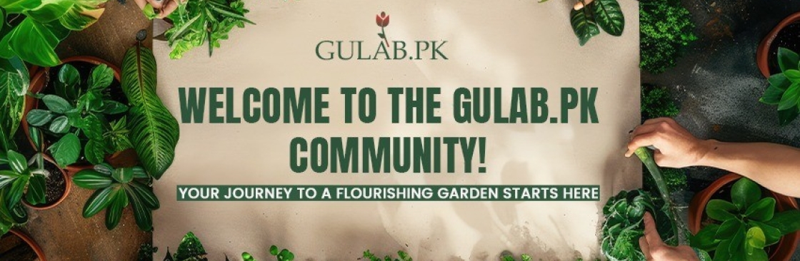 Gulab PK Cover Image