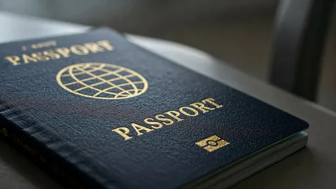 Henley Passport Index Explained: What It Means for Indians - Trangran