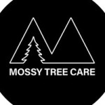 Mossy Tree Care Profile Picture