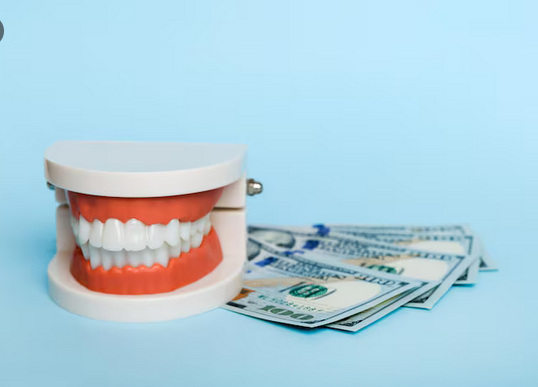 Variation Types and Factors Affect Dental Implant Costs |...