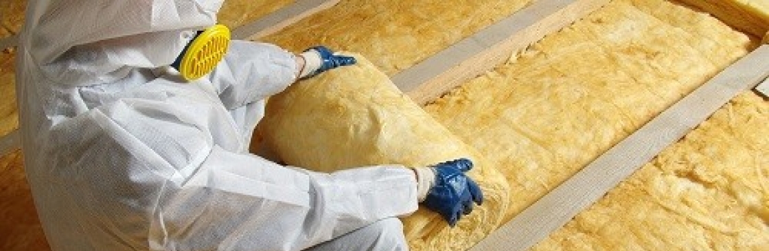 Insulation Pros of Georgia Cover Image