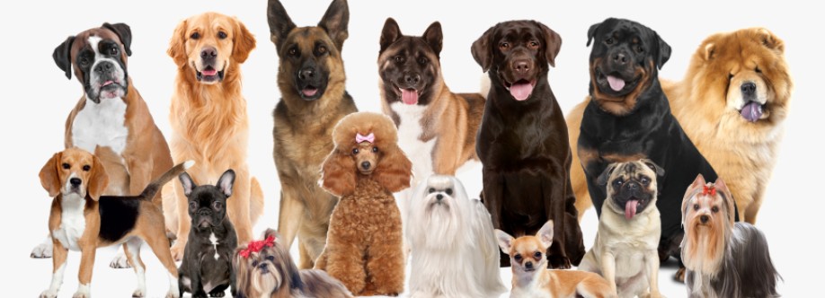 Shurcut Petparlour Cover Image