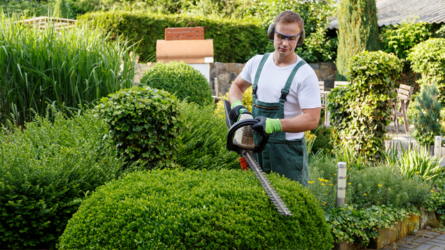 Gardening services tarneit | Garden clean up services