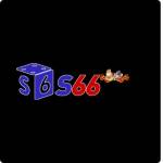 s666 kaufen Profile Picture