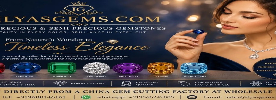 Ilyas Lapidary Cover Image
