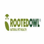 Rooted Owl Profile Picture
