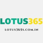 Lotus365vip Profile Picture
