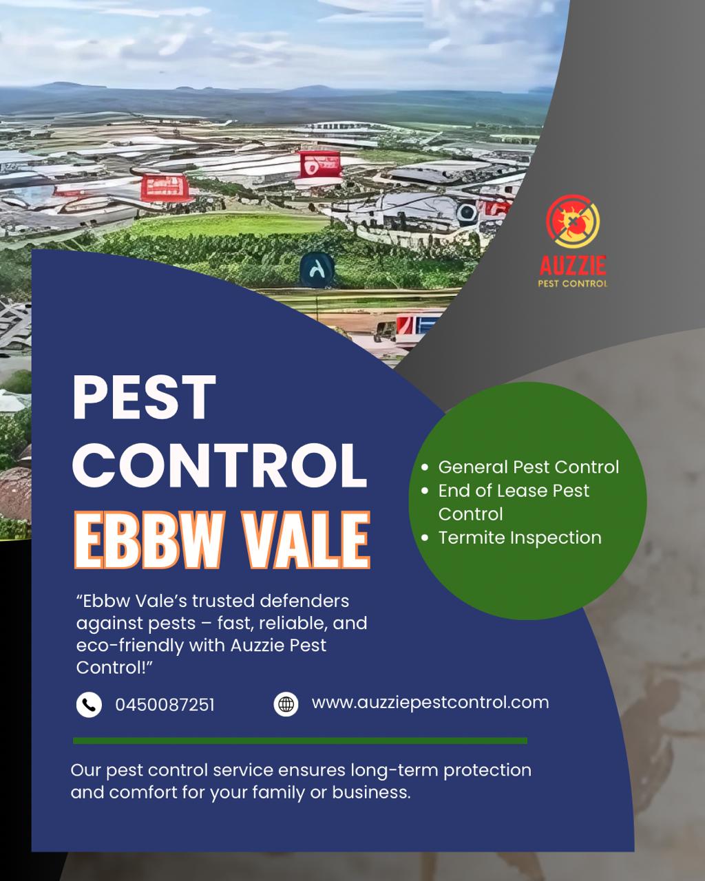 Best Pest Control Services in Ebbw Vale