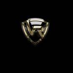 Vehicle Revolution profile picture