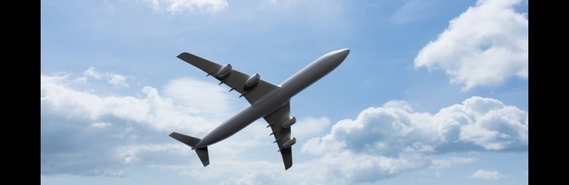 Rushmy Flight Cover Image